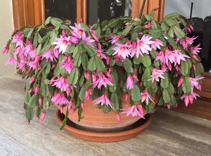 Szálloda βeach ηotel